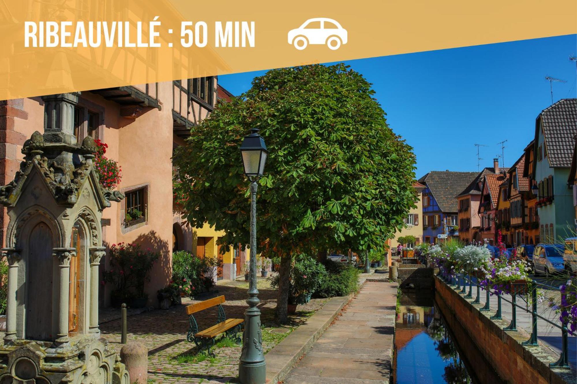 Lit Rond Tres Grand Et Confortable - Garage Possible Ou Parking Gratuit Rue - Gare 2 Min Et Ville 4 Min En Tram - Ciel Etoile - Netflix Videoprojecteur - Luxe Et Evasion Στρασβούργο Εξωτερικό φωτογραφία