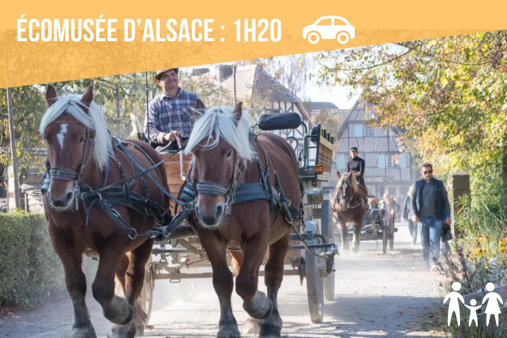 Lit Rond Tres Grand Et Confortable - Garage Possible Ou Parking Gratuit Rue - Gare 2 Min Et Ville 4 Min En Tram - Ciel Etoile - Netflix Videoprojecteur - Luxe Et Evasion Στρασβούργο Εξωτερικό φωτογραφία