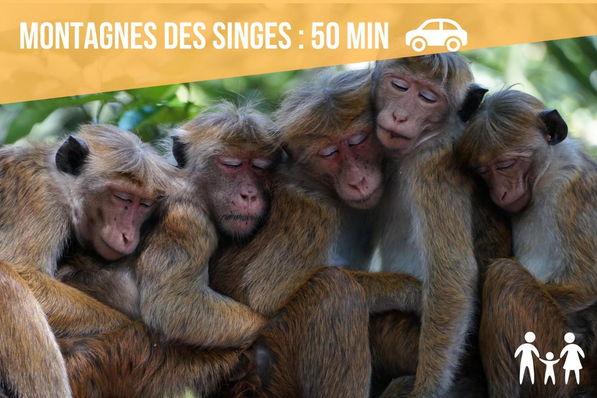 Lit Rond Tres Grand Et Confortable - Garage Possible Ou Parking Gratuit Rue - Gare 2 Min Et Ville 4 Min En Tram - Ciel Etoile - Netflix Videoprojecteur - Luxe Et Evasion Στρασβούργο Εξωτερικό φωτογραφία